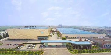 隆力奇 堅守大健康產(chǎn)業(yè)，以網(wǎng)絡(luò)科技賦能民族品牌振興之路